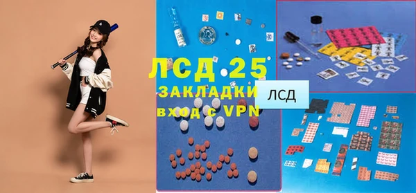 СК Медвежьегорск