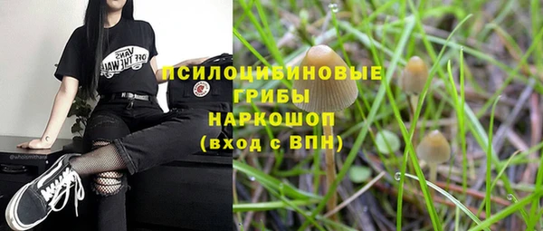 a pvp Магас