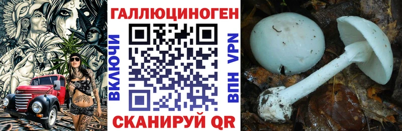 Галлюциногенные грибы мицелий  Томилино 